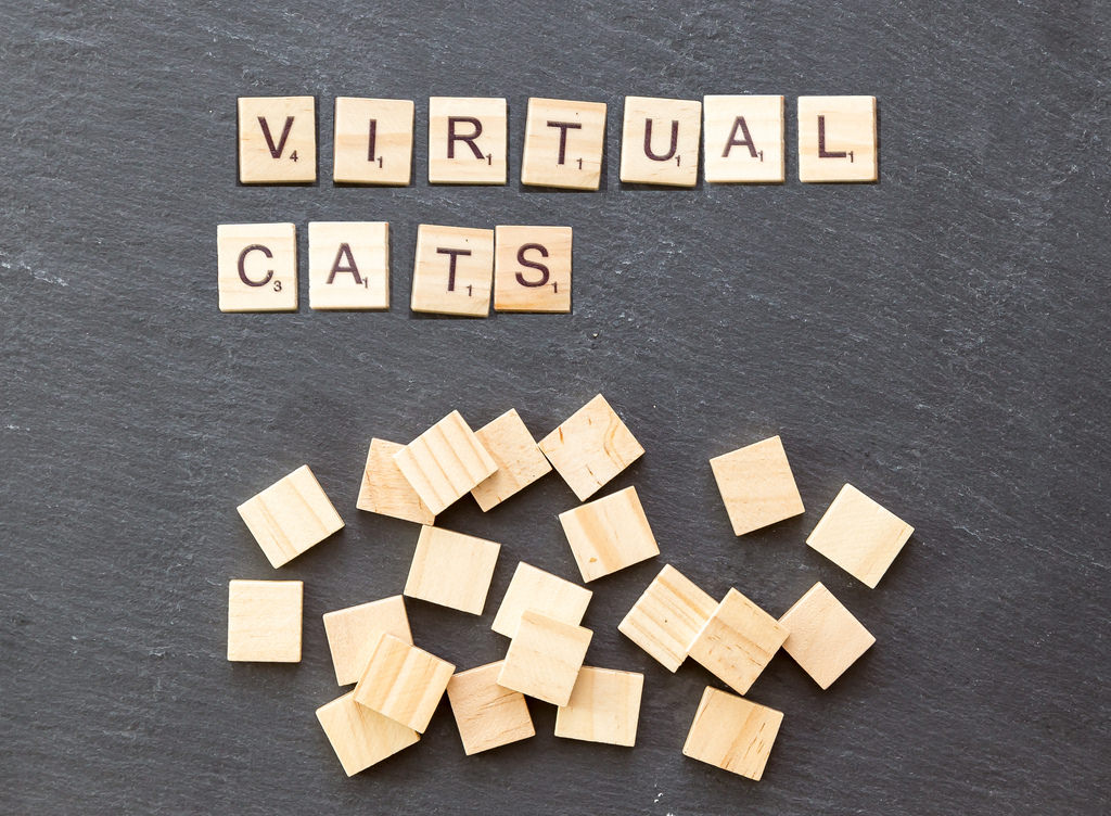 virtual kitty